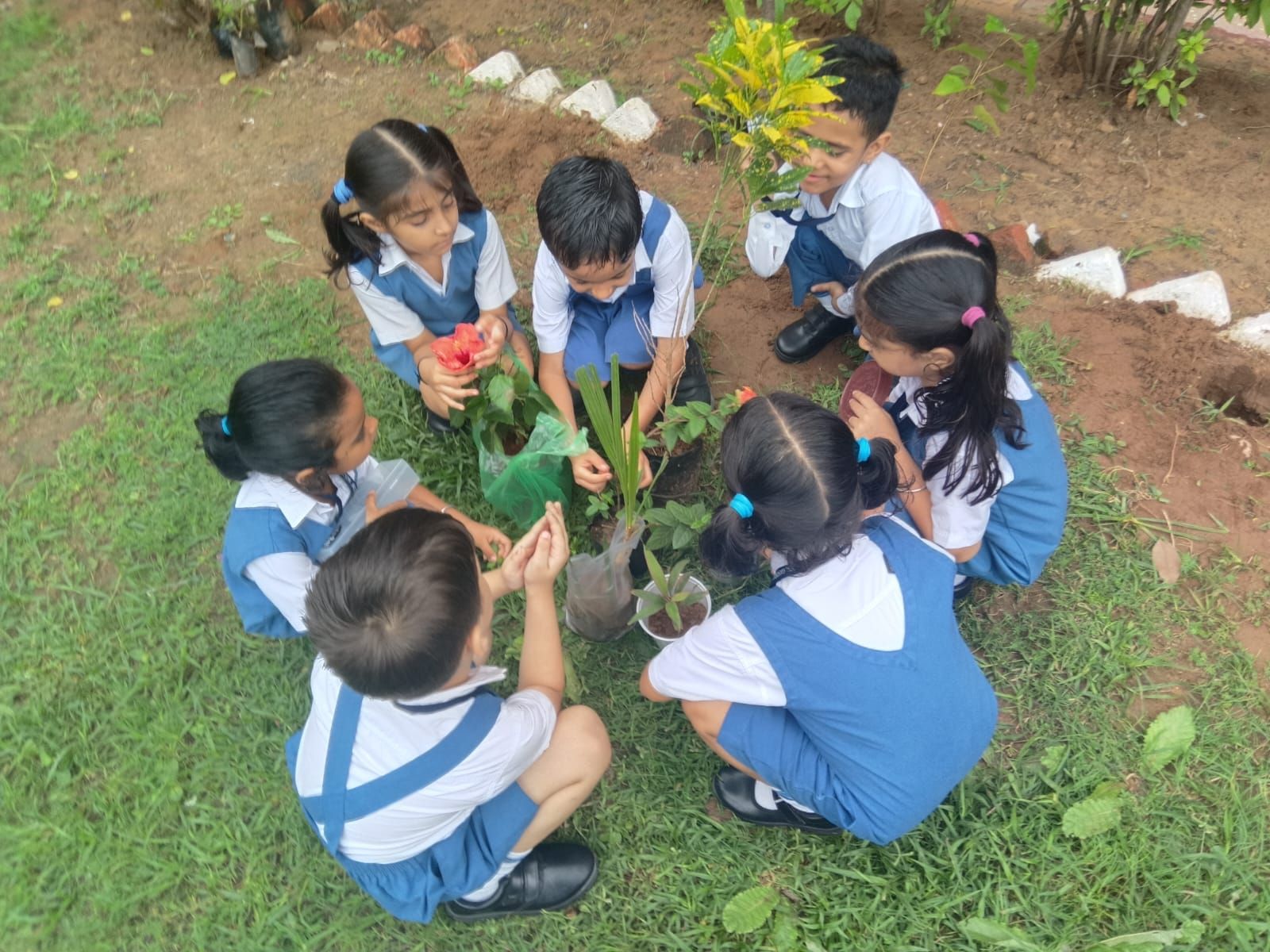 Plantation Drive
